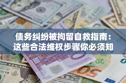 武汉债务纠纷被拘留自救指南：这些合法维权步骤你必须知道！