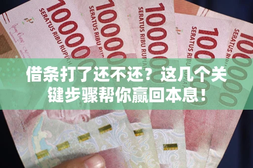 武汉借条打了还不还？这几个关键步骤帮你赢回本息！