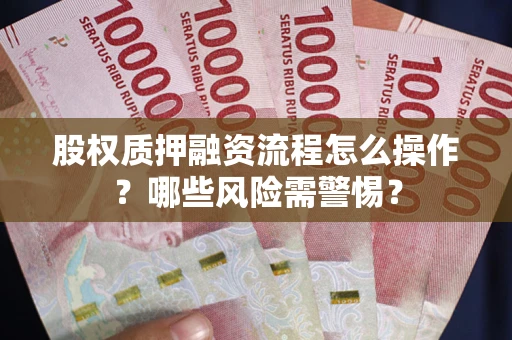 武汉股权质押融资流程怎么操作？哪些风险需警惕？