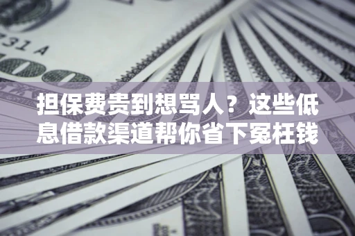 武汉担保费贵到想骂人？这些低息借款渠道帮你省下冤枉钱