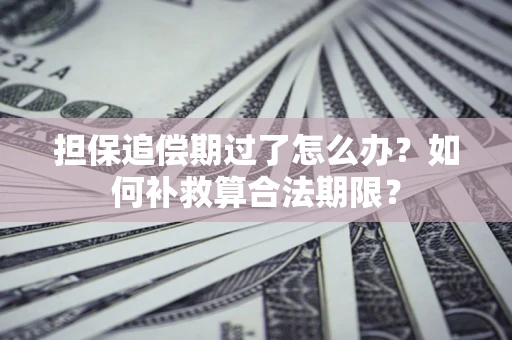 武汉担保追偿期过了怎么办？如何补救算合法期限？