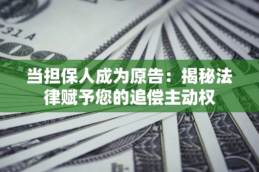 武汉当担保人成为原告：揭秘法律赋予您的追偿主动权