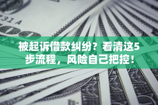 武汉被起诉借款纠纷？看清这5步流程，风险自己把控！