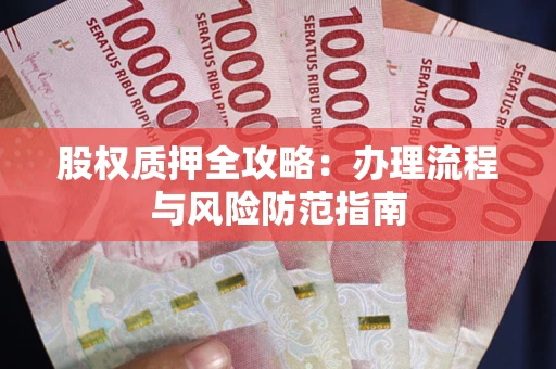 武汉股权质押全攻略：办理流程与风险防范指南