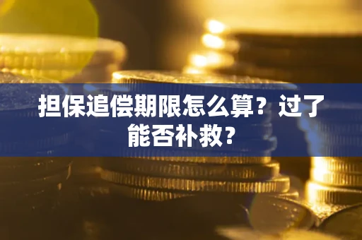 武汉担保追偿期限怎么算？过了能否补救？